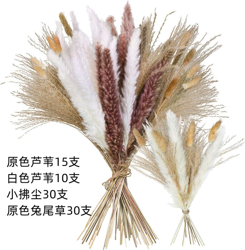 アマゾンはよく売れています。葦の花の花束です。|undefined