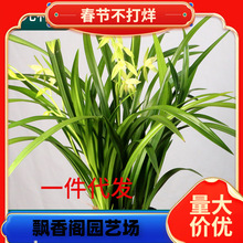 һ�����l�m����ԭ��ԭ���ļ��������Ԏ��������F���m���B�m�ݝ���