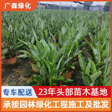 �Q���m�������� �@�־G����ľ���ع��� �����BС�������^���^�~