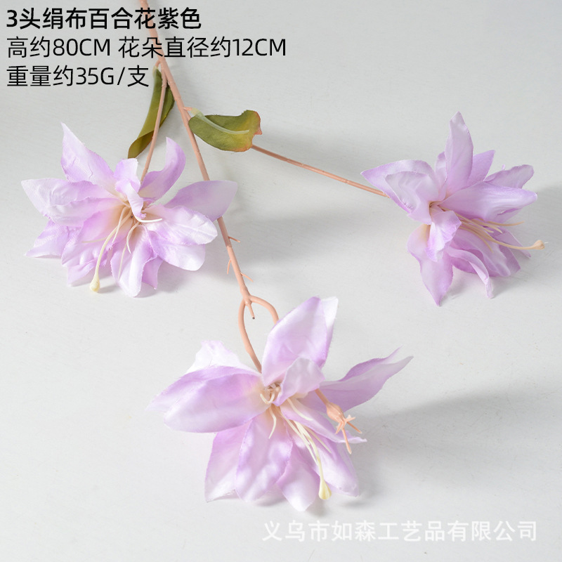 Lirio de seda púrpura