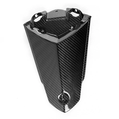 Motorcycle tail R1/R1M Motorcycle Accessories Carbon