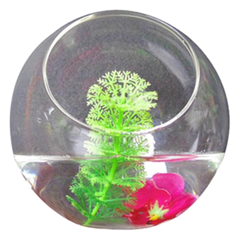 メーカー製ガラス苔瓶、マイクロランドスケープエコロジカル花瓶、多肉植物用斜口ガラス瓶、加工可能な瓶植え