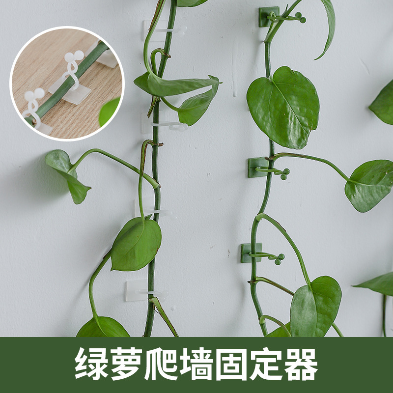 10個入りの緑羅固定器家庭用無痕無釘藤蔓緑植が壁に登って自粘式フック理線器を登る|undefined