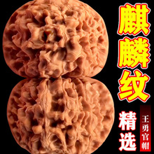文玩核桃手玩王勇麒麟纹官帽核桃包浆盘玩手把件男士古玩把玩批发