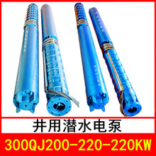 300QJ200-220/11 ���Ý�ˮ늱� ��� QJR��ˮ�� ��ʽ�༉��