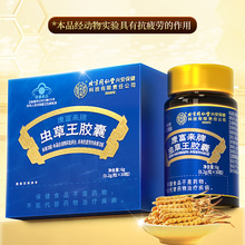 北京同仁内廷上用虫草王胶囊30粒抗疲劳蓝帽保健一件代发拿货咨询