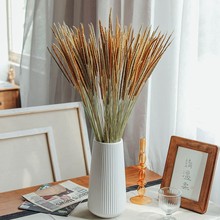 ��Ȼ�L������ݸɻ����Ӽ��b� ins�L�ɻ� ��ˇ���� �־ñ����ٗl