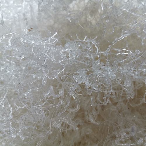 Diced Snowy Swallow Angelica Sinensis Dragon Beard Supply Wholesale Plant Bird's Nest Snowy Swallow 3A Dragon Beard Head Dragon Beard Snowy Swallow