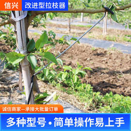 改进型果树拉枝器 树枝压弯固定器别枝器 苹果树枝定型器开角器