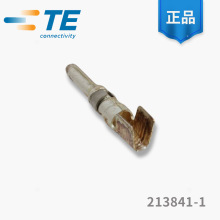 TE̩ 213841-1 Դ ǹ ѯ