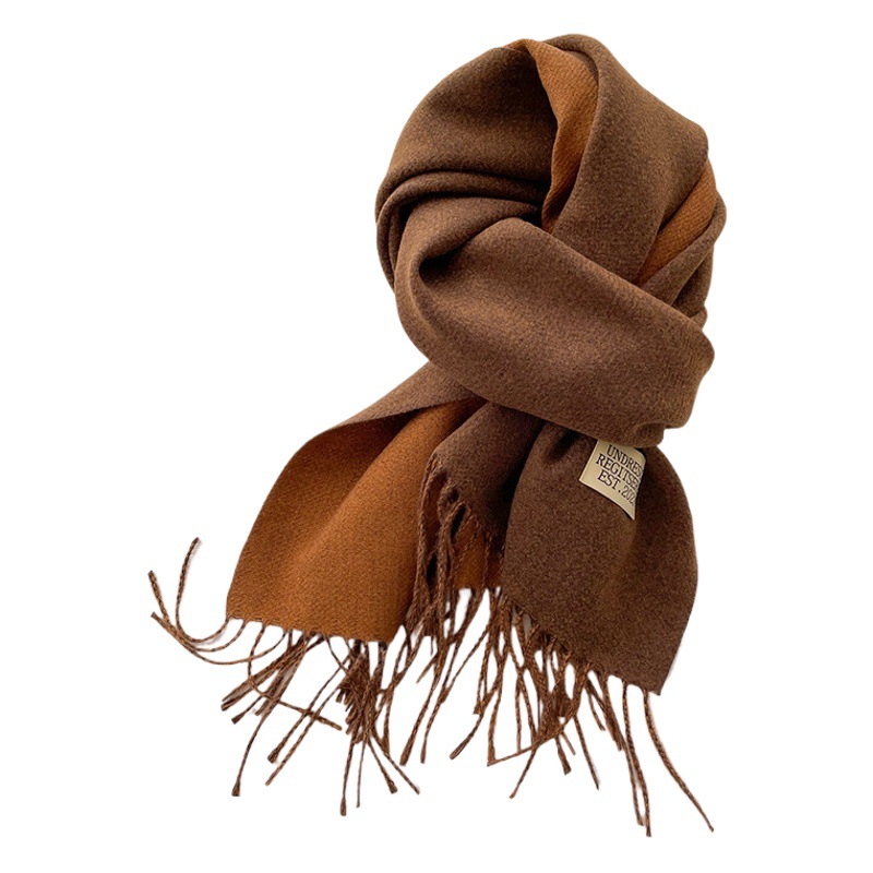 New Double-sided Solid Color Cashmere Scarf Women's Winter Korean Style Thickened Warm Scarf Student Couple Scarf Shawl