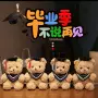 毕业纪念卡通毛绒抱抱熊