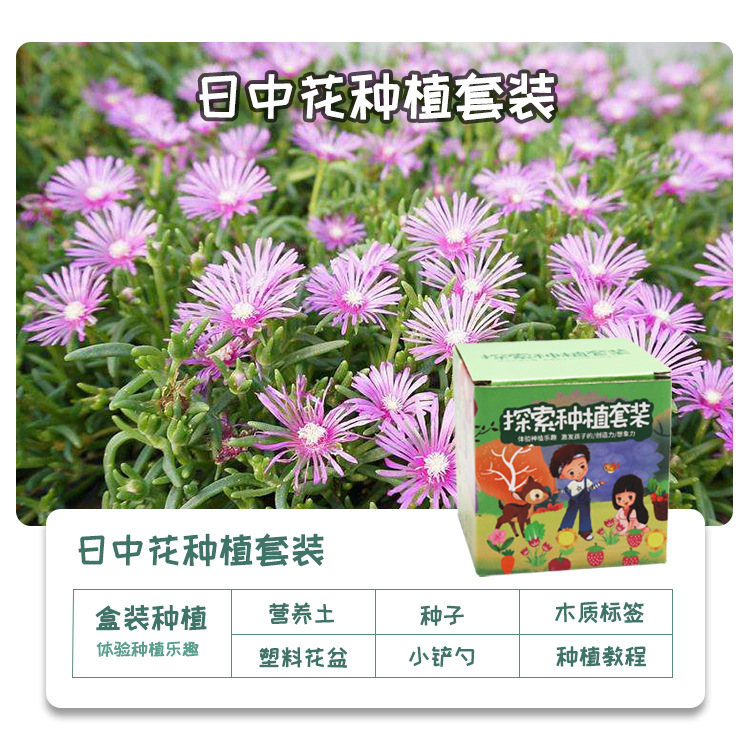 Explorar la plantación de plantas en maceta pequeñas para niños observación del crecimiento de plantas verdes pequeños experimentos creativos de los estudiantes pequeños agricultores de flores interesantes image 45