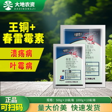 荣邦细魁 47%春雷霉素·王铜 柑橘溃病番茄叶霉病杀菌剂农药包邮