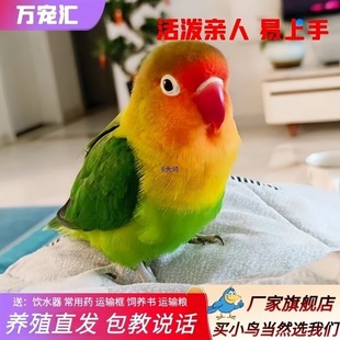 ĵ���W�^�B������W�fԒ�����B���w��Ƥ�W�^���w���L�W�^С�B���w