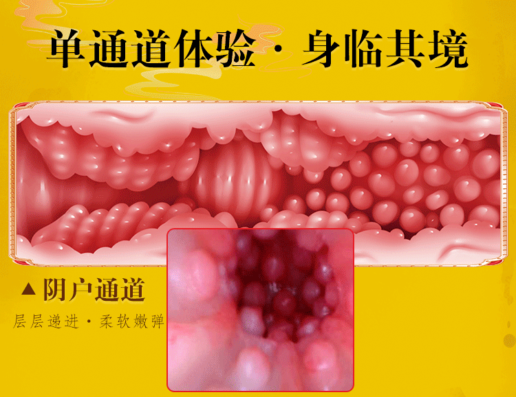 Jiuai Three Sisters Aircraft Cup Inversion Model Half-Body Hip Male Masturbator TPE Flesh — detail image 17