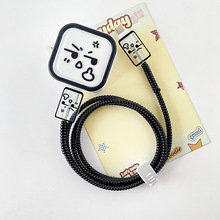 �ӑB�O��40W��������o���m��iPhone17promax/17por�֙C������16