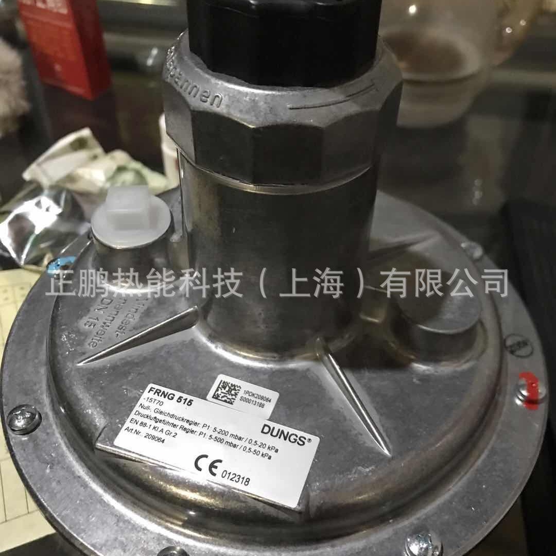 顺丰包邮FRNG5125 241762德国DUNGS燃气调压阀 减压阀说明书