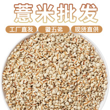 徽五弟农家薏苡仁颗粒饱满生薏米源头工厂多品批发大货零售包邮