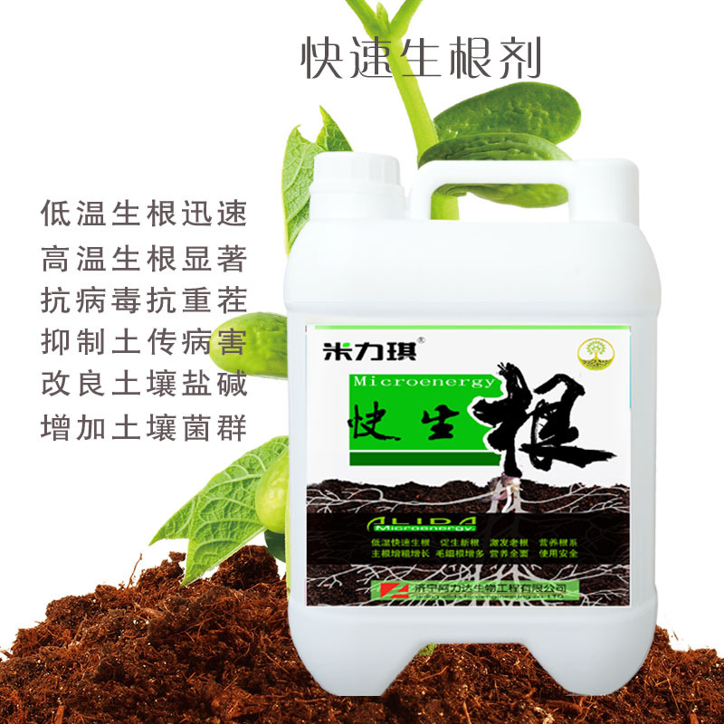 大棚蔬菜专用生根肥生根剂低温快速生根毛细根增多含黄腐酸水溶肥