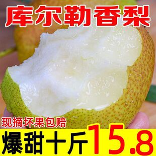 �����½��젖���������ȫĸ�������污Ƥ�t��������3/5/10����]