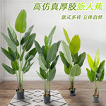 北欧风大型仿真绿植旅人蕉盆栽室内客厅落地摆件装饰天堂鸟人造树