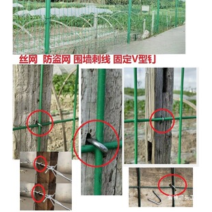 �T�R� U��� V���F� 䓽z�W�F�W� �ř�� Ь� ���ھW�