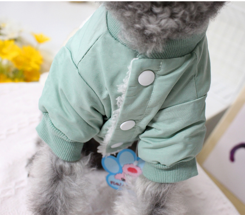 Dog Jacket in Use
