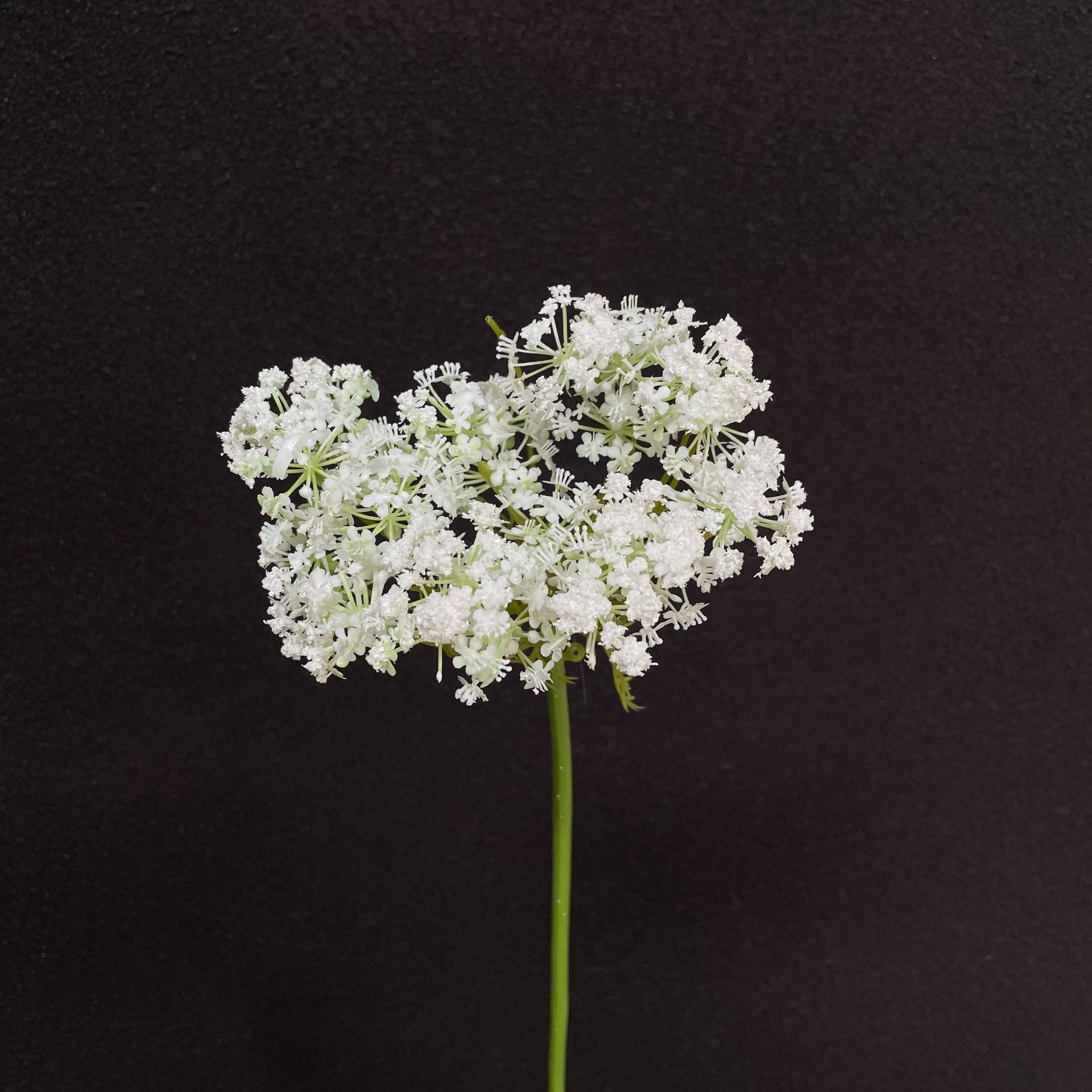 Flores falsas blancas Flores artificiales Flores para bodas Auditorio de bodas Decoración del hotel Techo artificial Flores artificiales Flores falsas