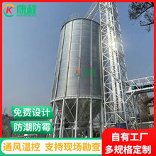 小麦玉米粮食仓 粮食加工存粮储粮仓 存粮300吨镀锌装配式立筒仓
