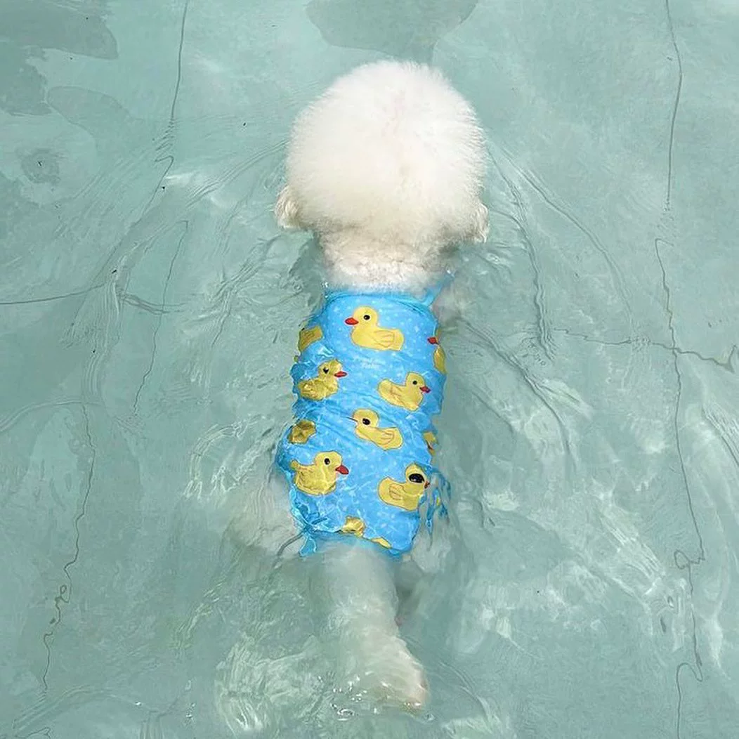 Одежда для домашних животных, летний крутой дышащий купальник, камзол, шапочка для плавания, Тедди Бишон Шнауцер, собаки маленького и среднего размера