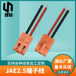 �S��ֱ��2.5�g��JAE���Ӿ� 1007-22̖늳غ��Ӿ���܇���B�Ӷ��Ӿ�