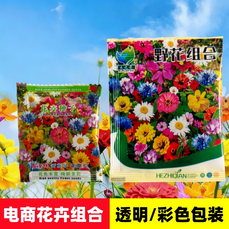 跨境电商花卉组合彩包野花混合种子多季开花庭院盆栽种植耐寒耐热