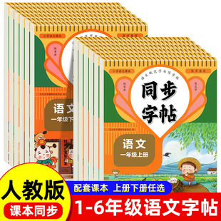 People's Education Edition Grades 1, 2, 3, 4, 5 and 6, Volume 2, Primary School Students' Synchronous Copybook Writing Class Practice Copying and Drawing Book