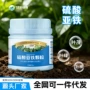 艾尚庭院植物园艺花肥