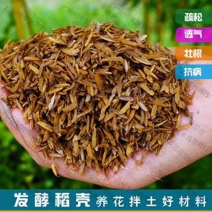 �i�S�ɰl��ţ�SÓˮ�S�㵾���I�B͸������������ǠI�B���ω�����