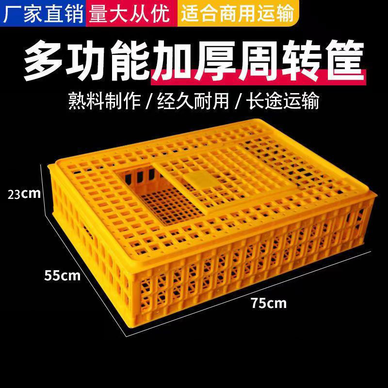 Los fabricantes suministran jaulas de plástico para pollos gruesos, pollos, patos, gansos, palomas y conejos.