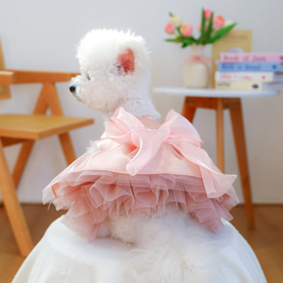 PETCIRCLE pet circle factory in stock direct foreign trade wholesale pet dog dog clothes lychee rose wedding dress