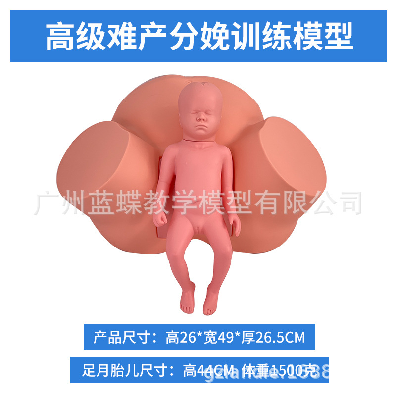 ����ʾ��ģ�� �߼��Ѳ�ʾ��ѵ��ģ�͸������Ѳ����������ѧģ��