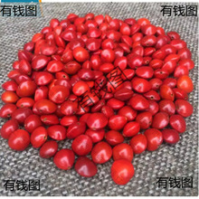 ��Ȼ�t������ԭ����˼�����t���ִ����ɢ��Փ��t������һ�w���