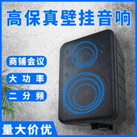 其他音箱;公共广播系统;扬声器
