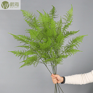 ����ֲ���z��7�~����ֵë����廨���亣��ɳާ�~����ֲ��ܛ�b