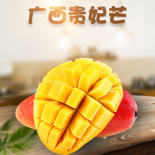 �����x���V���F��â ���l5�����r��Ŵ�����t����â�������ЋDˮ��