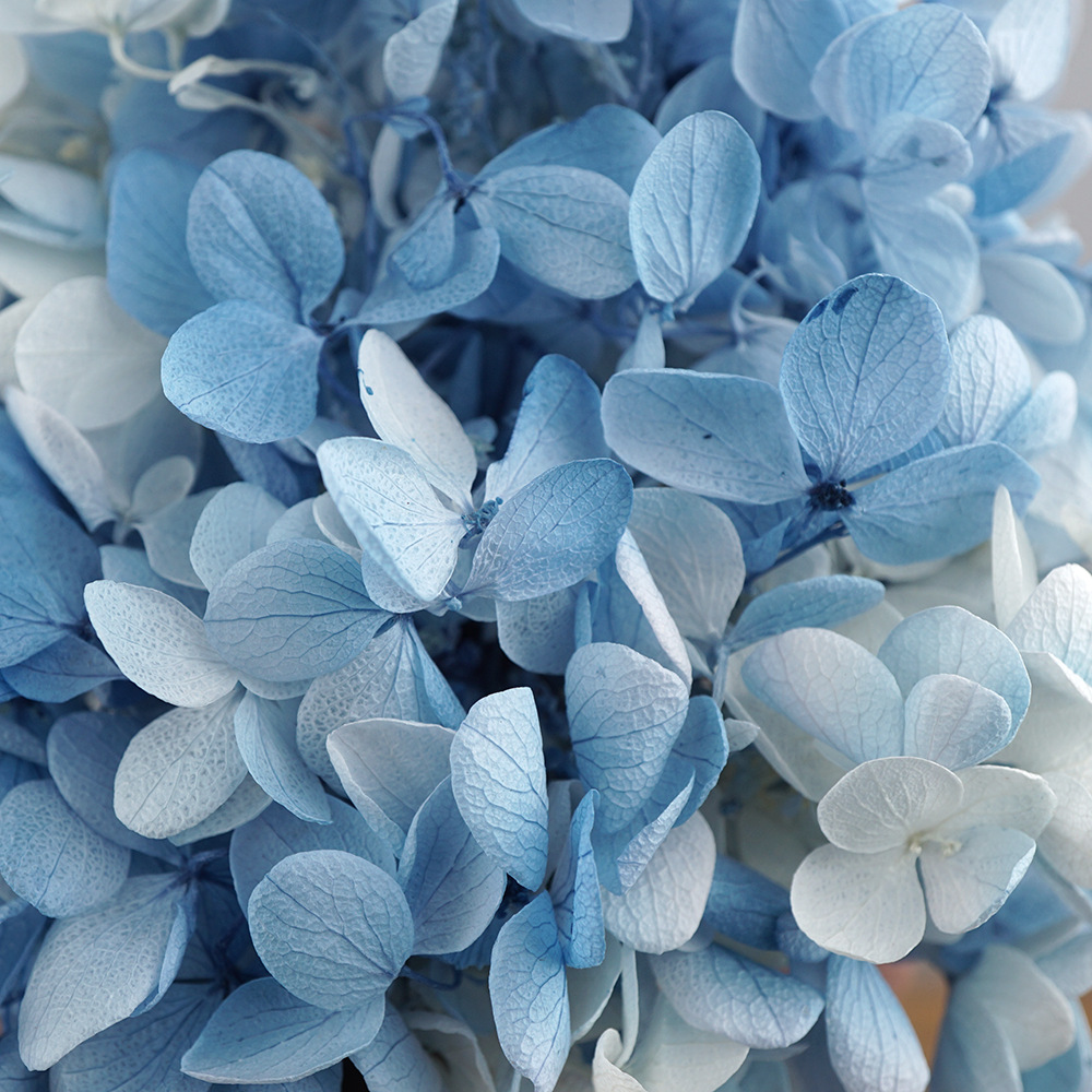 Blanco más azul-100g/caja