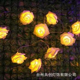 LED装饰灯;室外LED;太阳能灯