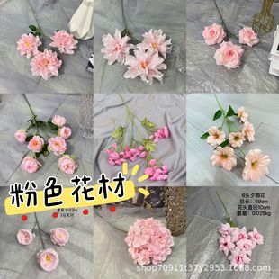 ��c���滨��ɫ�b廨���Ļ����Ҹ����ő���ٻ����滨���컨