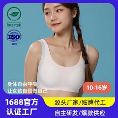 猫人少女内衣发育期二三阶段初中高中学生运动文胸少女背心女