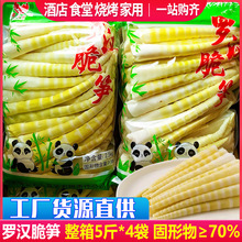 清水罗汉笋尖整箱火锅串串冒菜麻辣烫半成品食材脆嫩竹笋餐饮商用