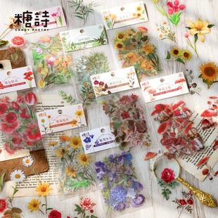 Наклейки (Tangsi) Plant Nature Series PET, набор Retro DIY для декора — 8 дизайнов