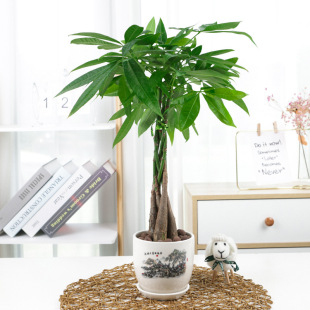 �徎�lؔ���������p�Ә��҃ȿ͏d�����^�~ֲ������՚�����ȩ�ͺ�